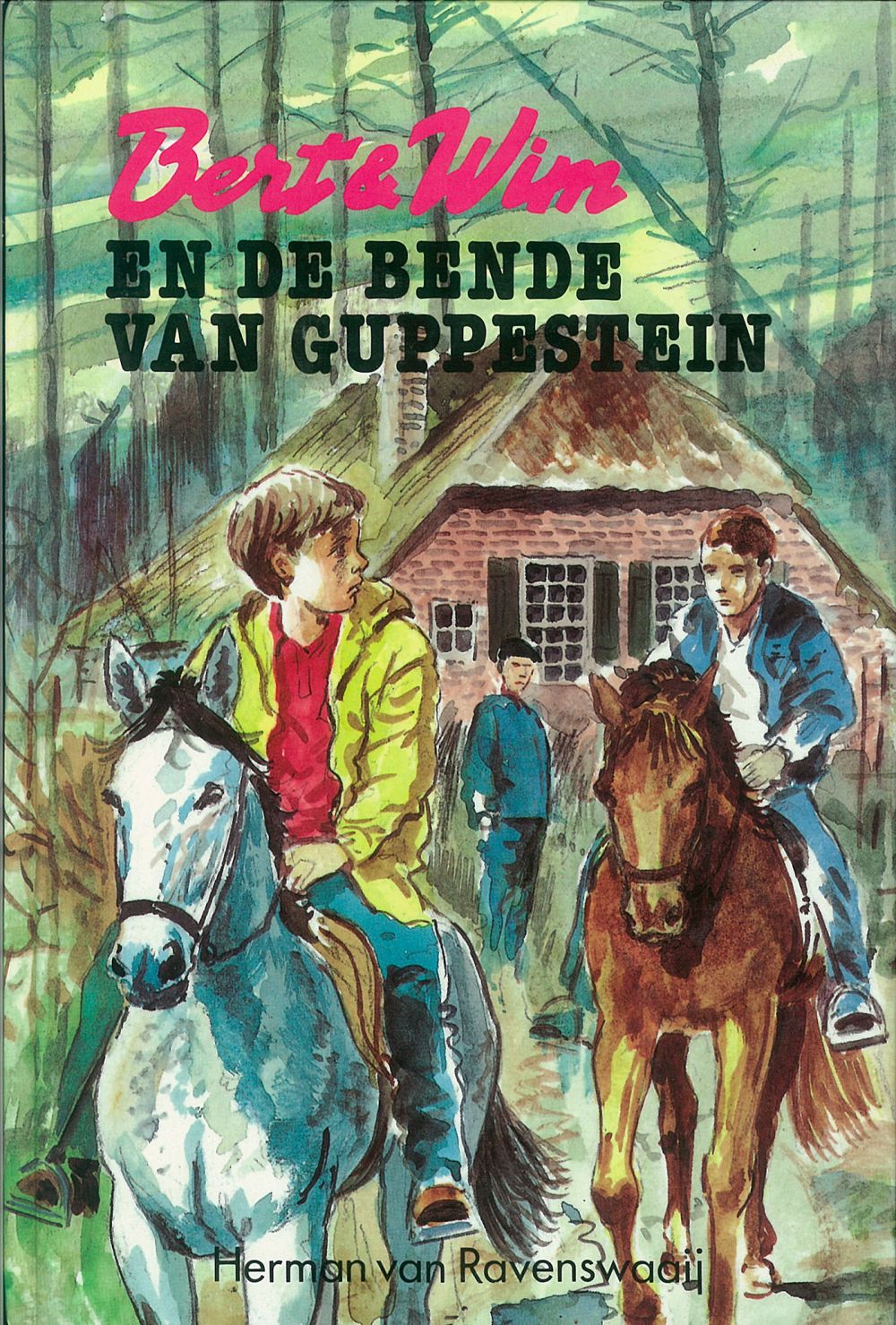 Bert en Wim en het geheim van Guppensteijn; E-Book